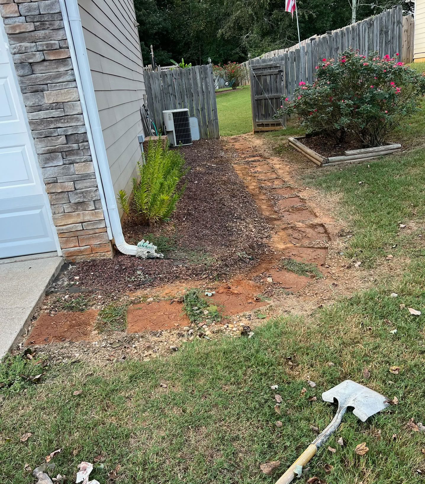 Detailed view of tree roots intertwining with a sidewalk, highlighting nature's resilience.